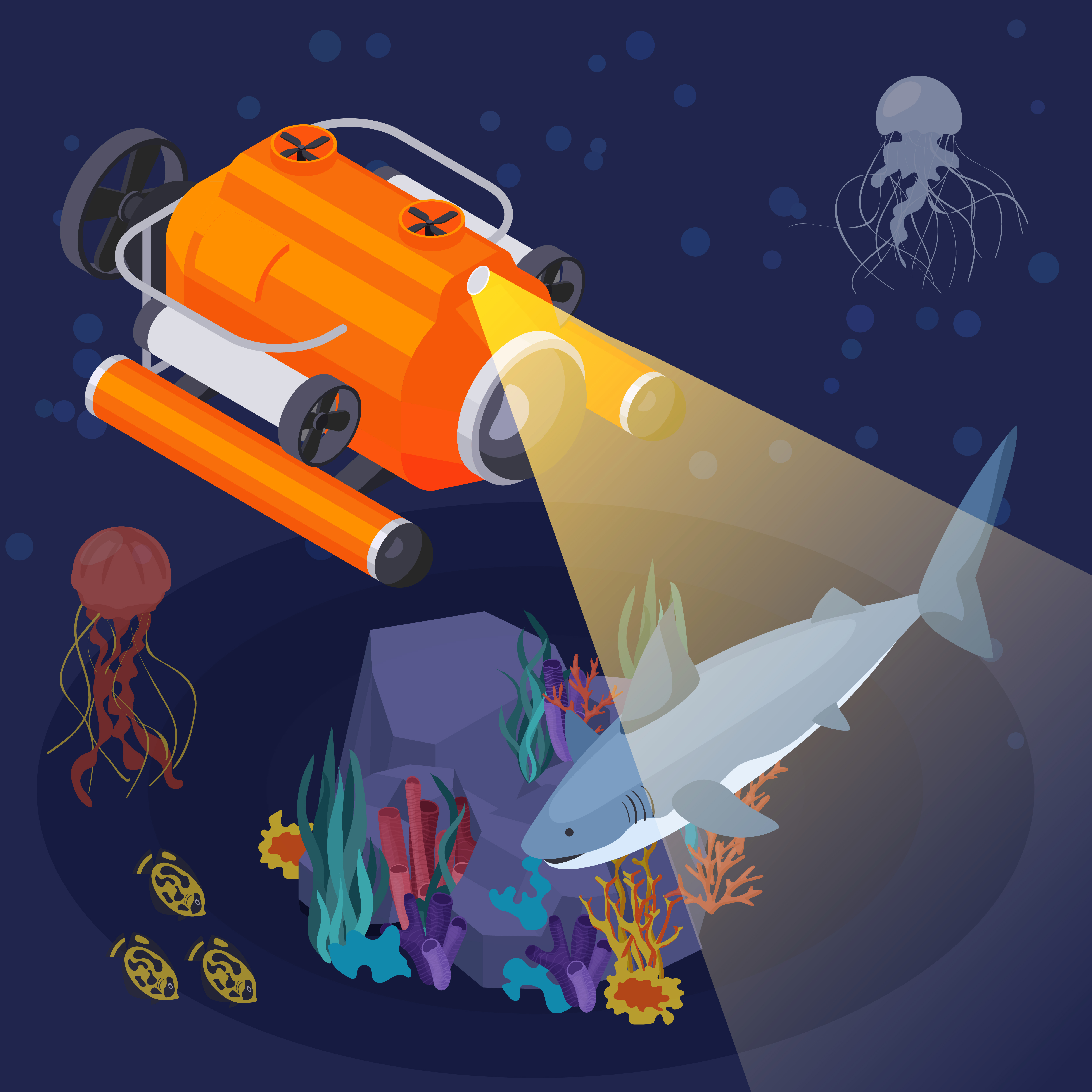 ROVs-procedure-diving-skeleton