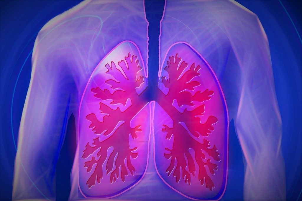 lung squeeze-breath hold diving lung risks-alveolar rupture