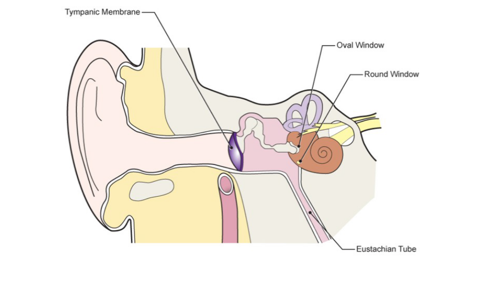 ear pressure underwater, Eustachian tube pressure dive, scuba diving health risks