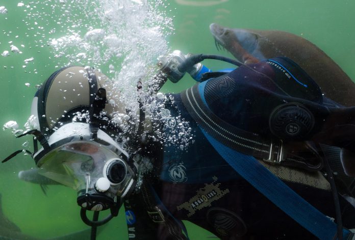 Sinus Barotrauma-Alveolar Rupture-and-Pressure Injuries-at-Under aquatic
